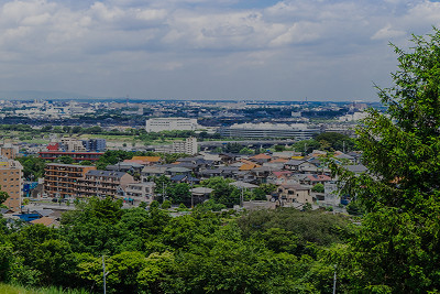 Image-3