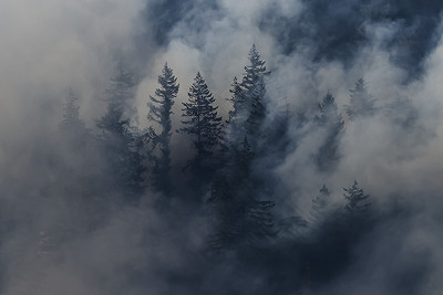 Image-4