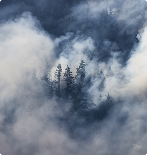 Trees-clouds